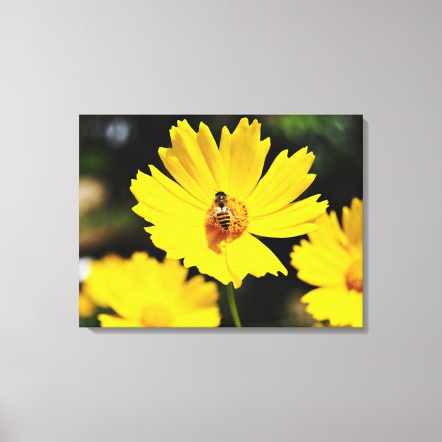 Toile Fleur et abeille du Cosmos jaune (Recto)