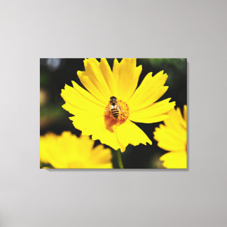 Toile Fleur et abeille du Cosmos jaune