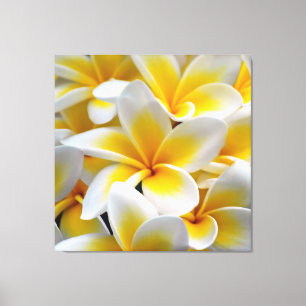 Toile Fleur Frangipani Plumeria