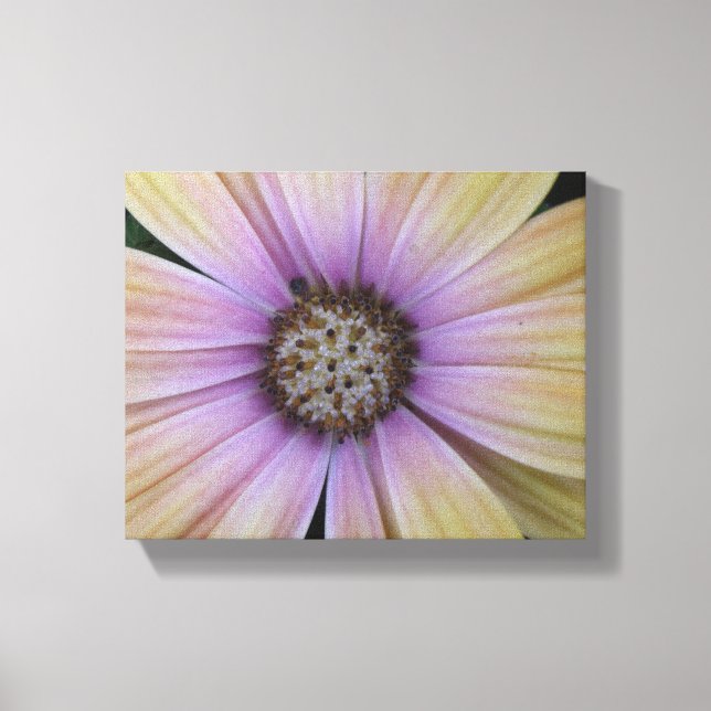 Toile Fleur marguerite violette et jaune (Recto)