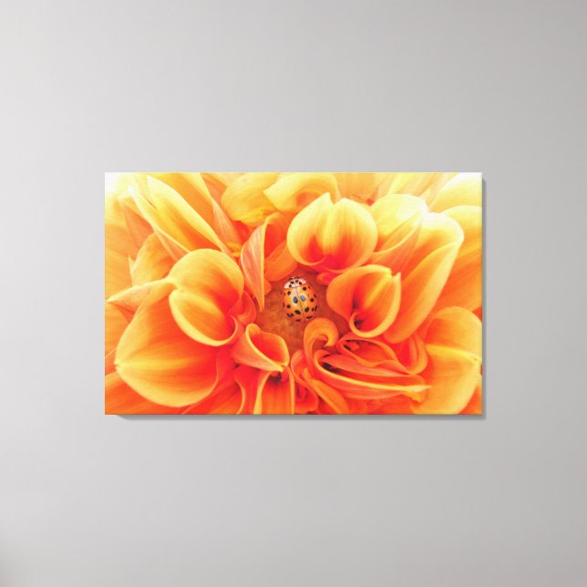 Toile Fleur Orange Feu Dahlia avec une dame (Recto)