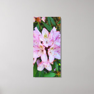 Toile Fleur Rhododendron rose