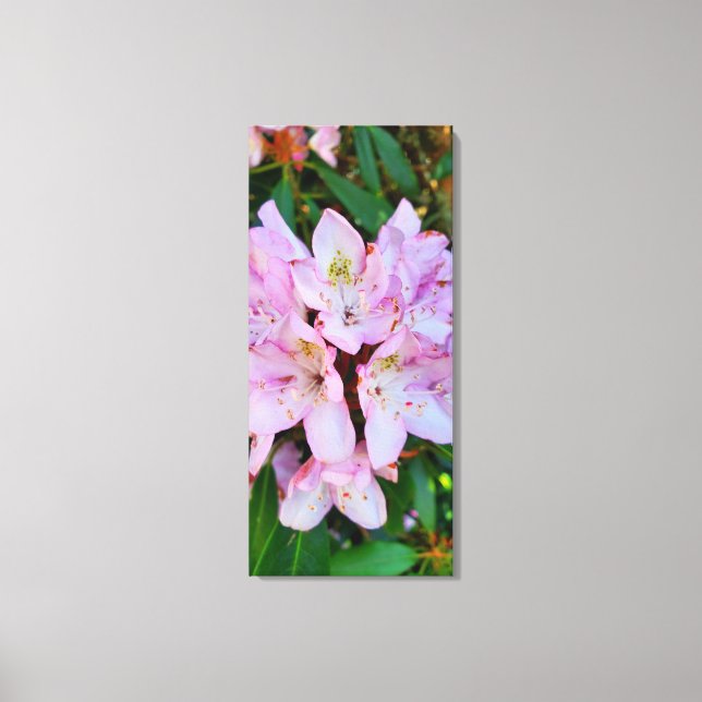 Toile Fleur Rhododendron rose (Recto)
