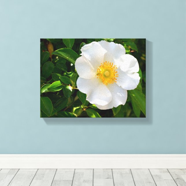 Toile Fleur Rose Cherokee (Insitu (Plancher de Bois))