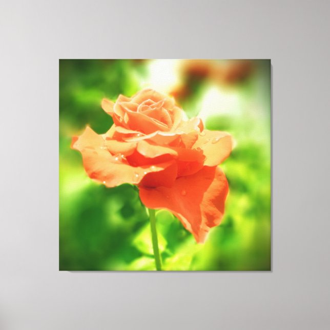 Toile Fleur Rose romantique (Recto)