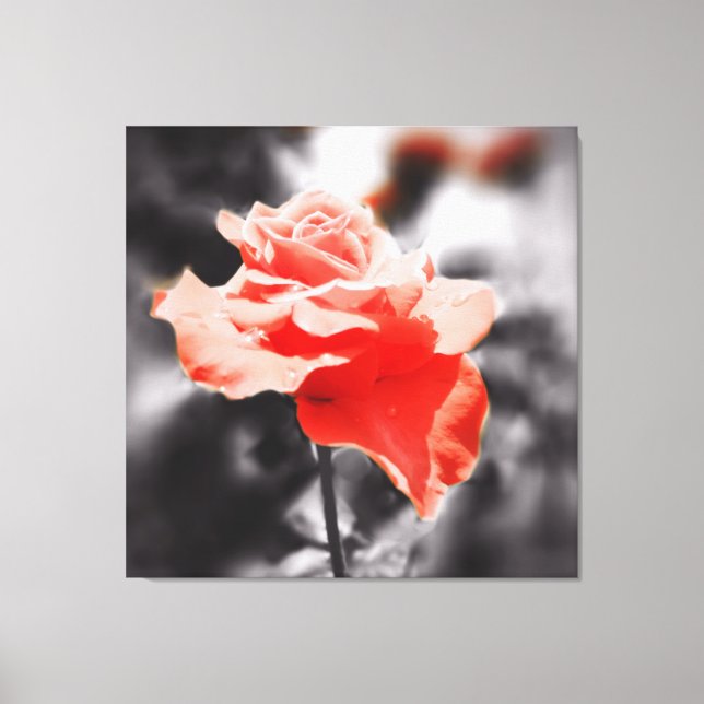 Toile Fleur Rose vintage (Recto)