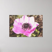 Fleur sauvage Anémonique Pastel Rose Artistique