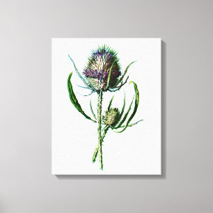 Toile Fleur sauvage d'antiquité de chardon d'écossais 