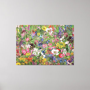 Toile Fleur sauvage de la nature en fleurs botaniques