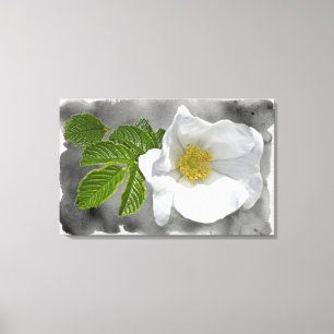 Toile Fleur sauvage Rose de White Beach