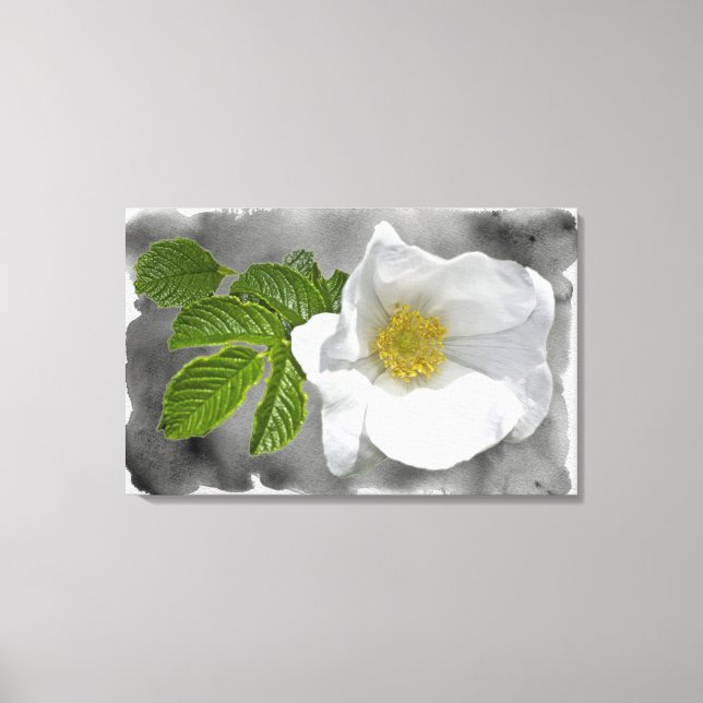 Toile Fleur sauvage Rose de White Beach (Recto)
