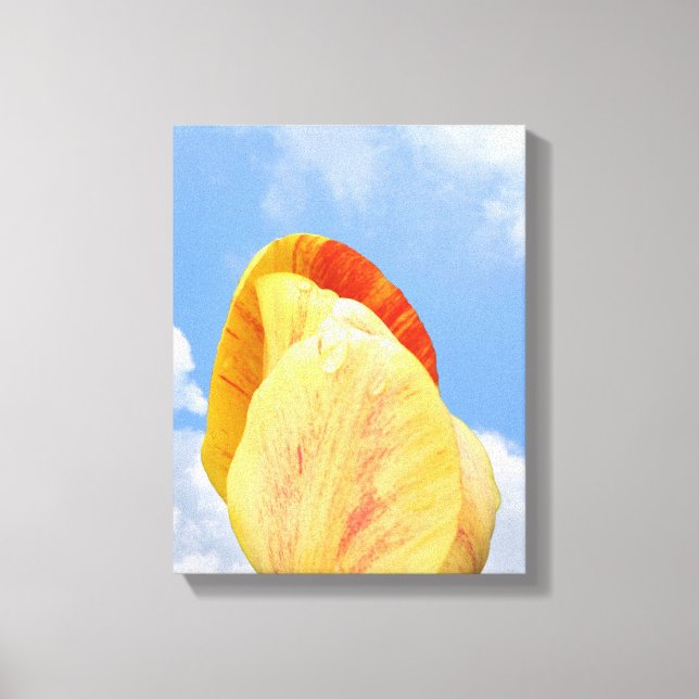 Toile Fleur Tulipe Jaune Sur Ciel Bleu (Recto)