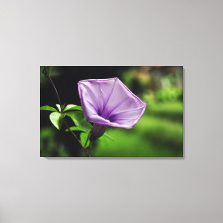 Toile Fleur violette sur Arrière - plan vert