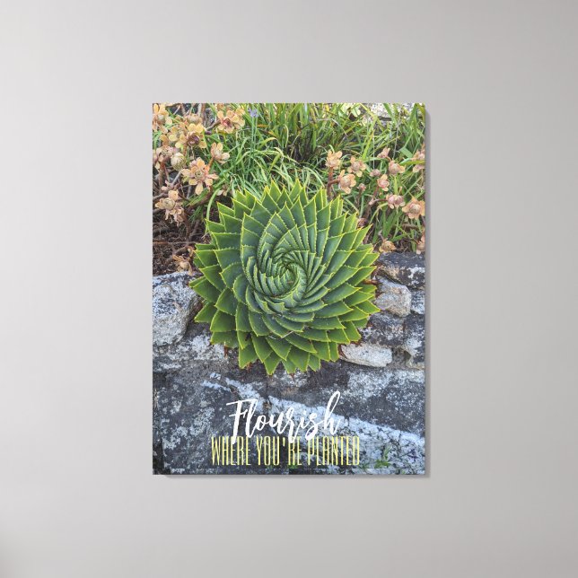 Toile Fleurit où vous êtes planté de granit d'aloe en sp (Recto)