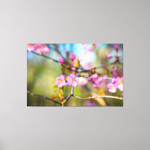 Toile Fleurs artistiques roses de Sakura dans le jardin