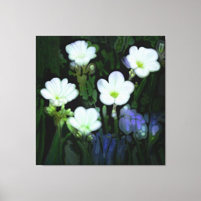 TOILE FLEURS BLANCHES BOUGIES (Recto)
