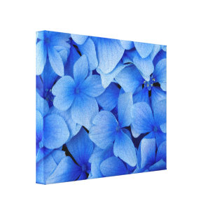 Toile Fleurs bleues d'hortensia