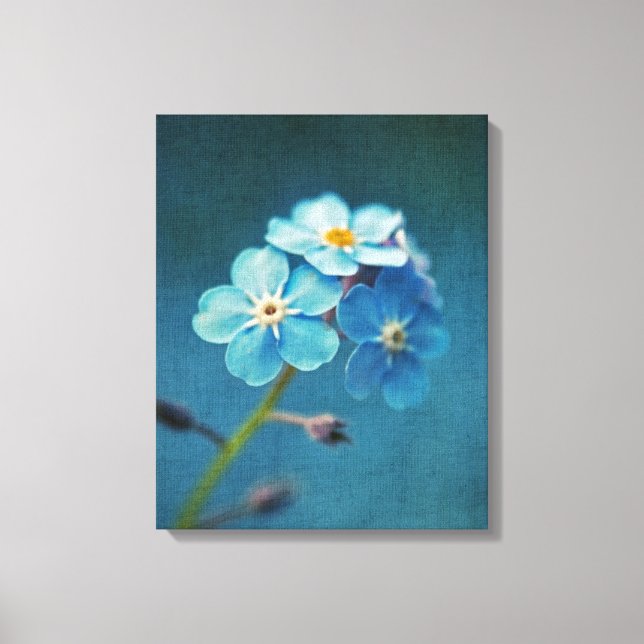 Toile Fleurs Bleues Myosotis Macro Photographie (Recto)