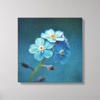 Toile Fleurs Bleues Myosotis Macro Photographie