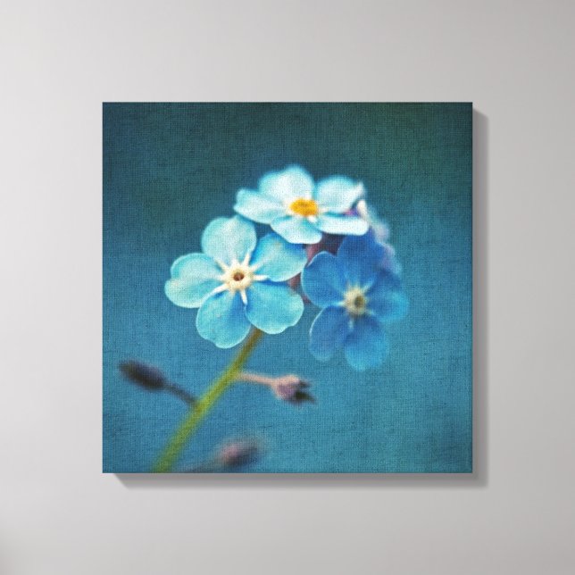 Toile Fleurs Bleues Myosotis Macro Photographie (Recto)