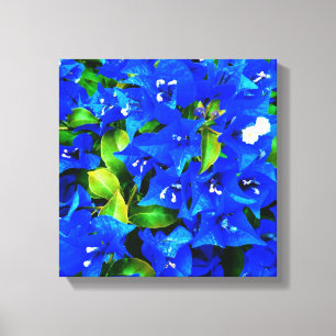 Toile Fleurs bleues vibrantes de bouganvillée