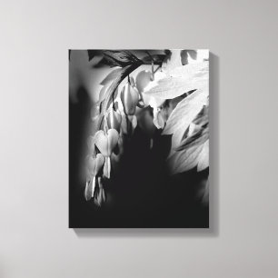 Toile Fleurs Cardiaques Saignantes En Noir Et Blanc