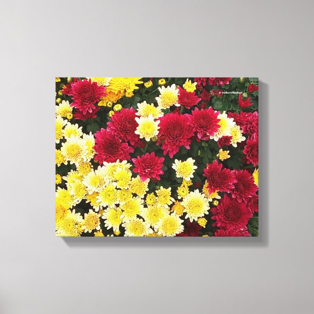 Toile Fleurs Chrysanthème d'automne en or rouge (Recto)