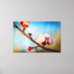 Toile Fleurs d'abricotier du Japon et le ciel bleu clair