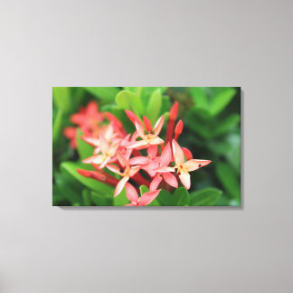 Toile Fleurs dans la jungle