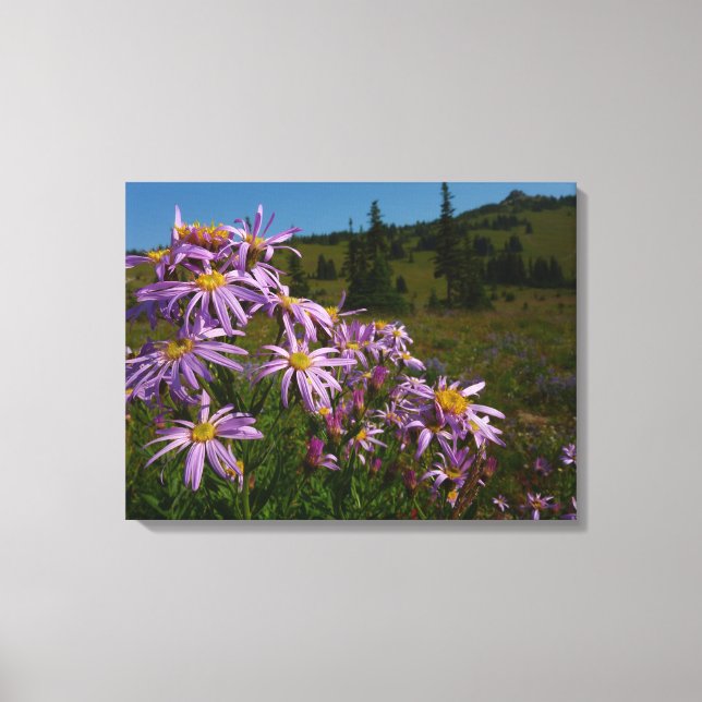 Toile Fleurs d'aster violet au Mont Rainier (Recto)