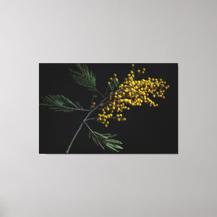 Toile Fleurs de bataille d'argent