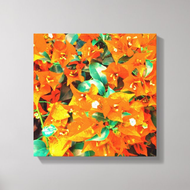 Toile Fleurs de bougainvillée orange vibrant (Recto)