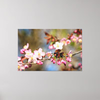 Fleurs de cerisier fraîches et ensoleillées et bou