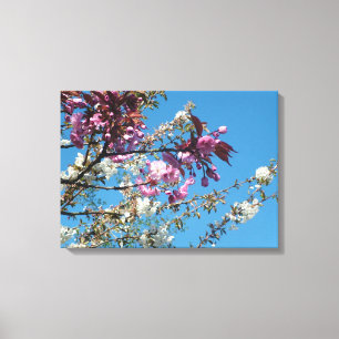 Toile fleurs de cerisier rose et blanc