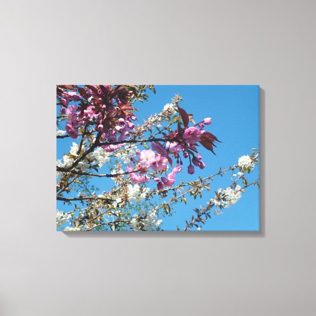 Toile fleurs de cerisier rose et blanc (Recto)