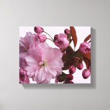 Fleurs de cerisier rose moderne tendance