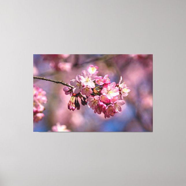 Toile Fleurs de cerisier Sakura de couleur rose au print (Recto)