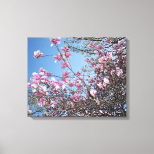 Toile Fleurs de cerisiers