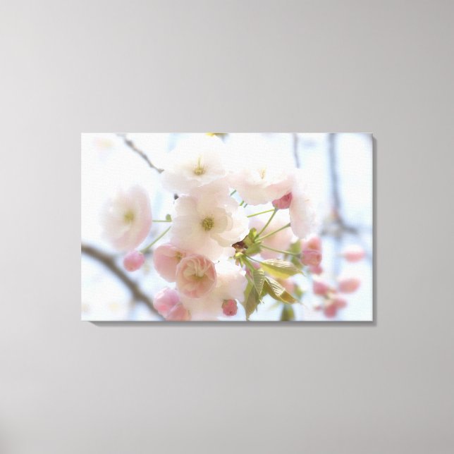 Toile Fleurs de cerisiers 3 (Recto)