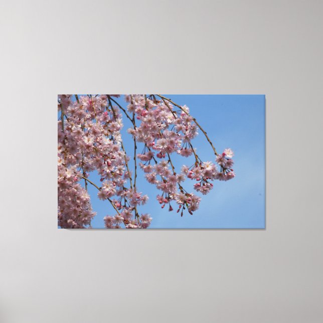 Toile Fleurs de cerisiers en pleurs (Recto)
