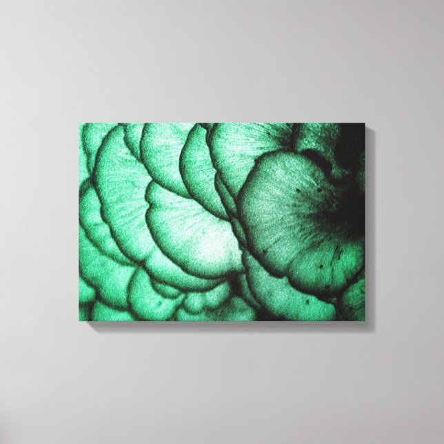 Toile Fleurs de champignons/Abstrait de la nature (Recto)