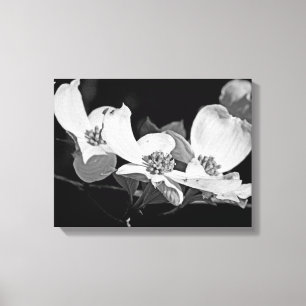 Toile Fleurs de cornouiller américain en noir et blanc