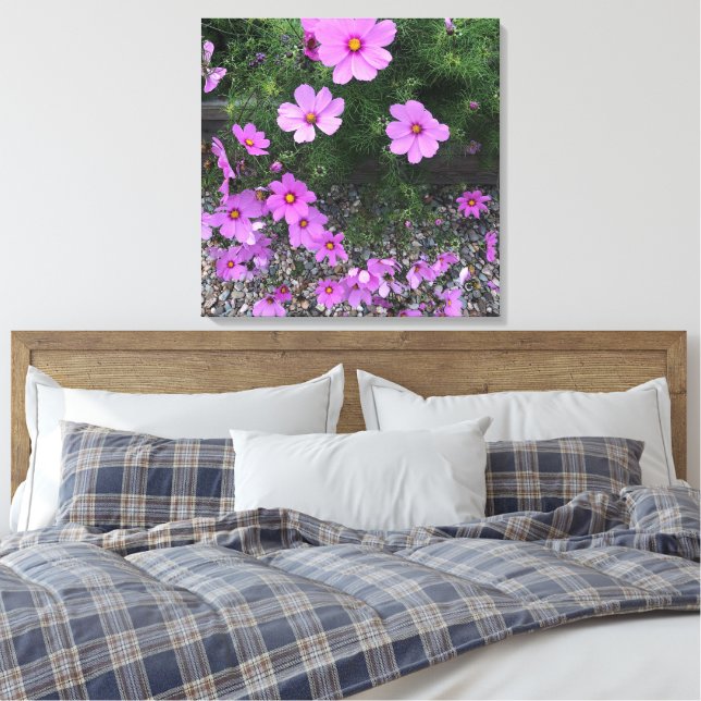 Toile fleurs de cosmos avec des galets sur un (Insitu(Chambre))