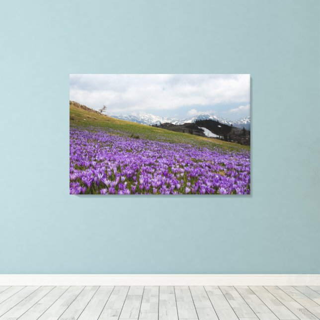 Toile Fleurs de crocus à Velika Planina, Slovénie (Insitu (Plancher de Bois))