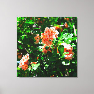 Toile Fleurs de grenade froissées et feuilles vertes