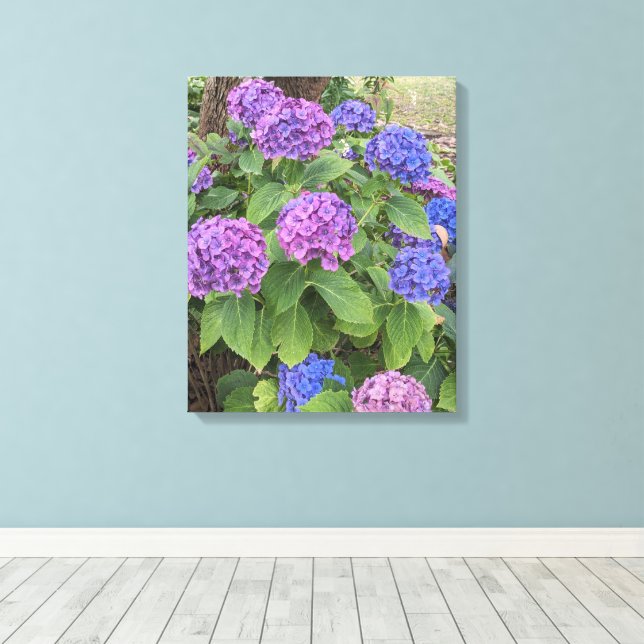 Toile Fleurs de Hortensia Bleu et Rose (Insitu (Plancher de Bois))