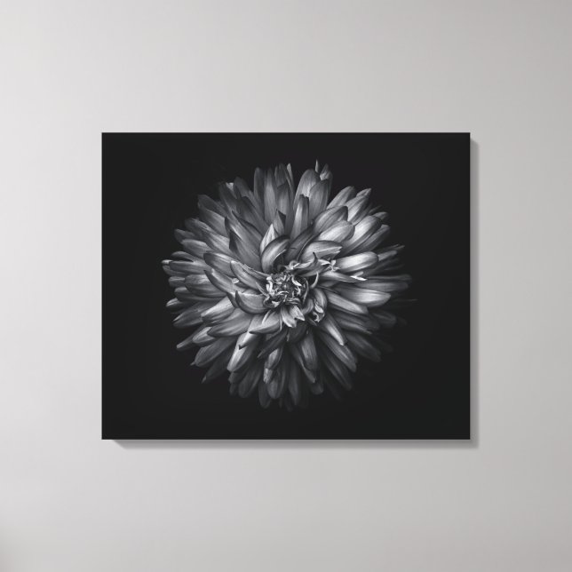 Toile Fleurs de jardin en noir et blanc 20 (Recto)