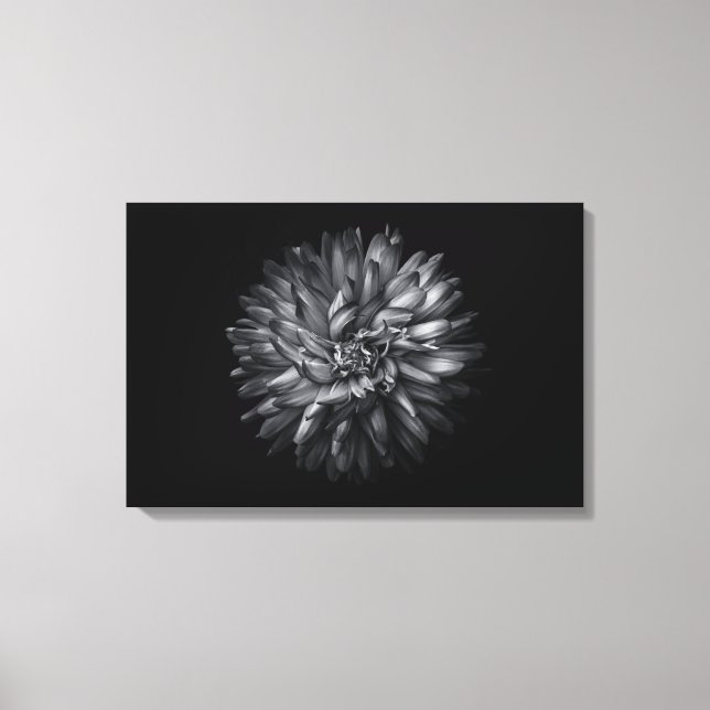 Toile Fleurs de jardin en noir et blanc 20 (Recto)
