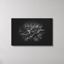 Fleurs De jardin En Noir Et Blanc 67