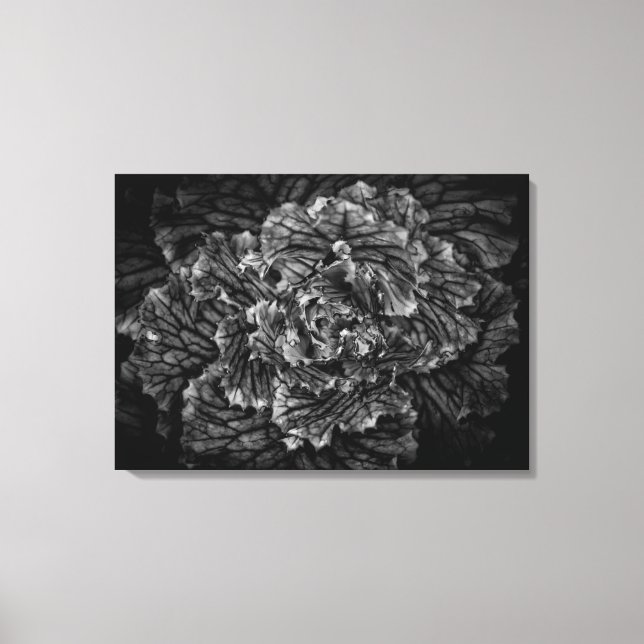 Toile Fleurs De jardin En Noir Et Blanc No 42 (Recto)